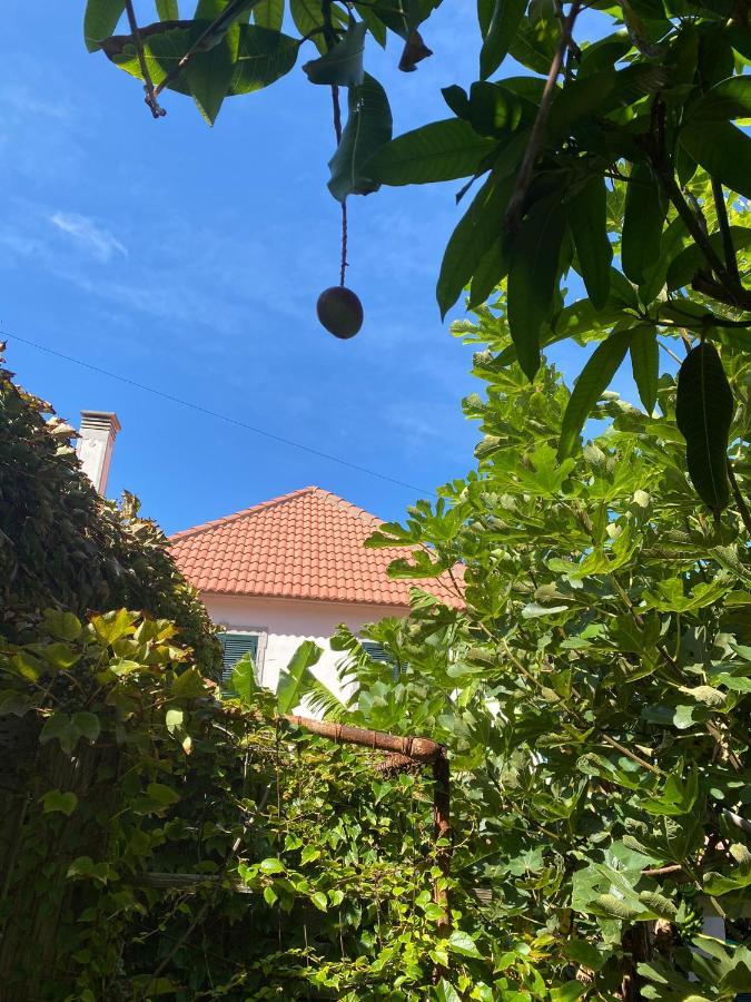 Avó Lucindinha House - Porto Moniz Exterior foto